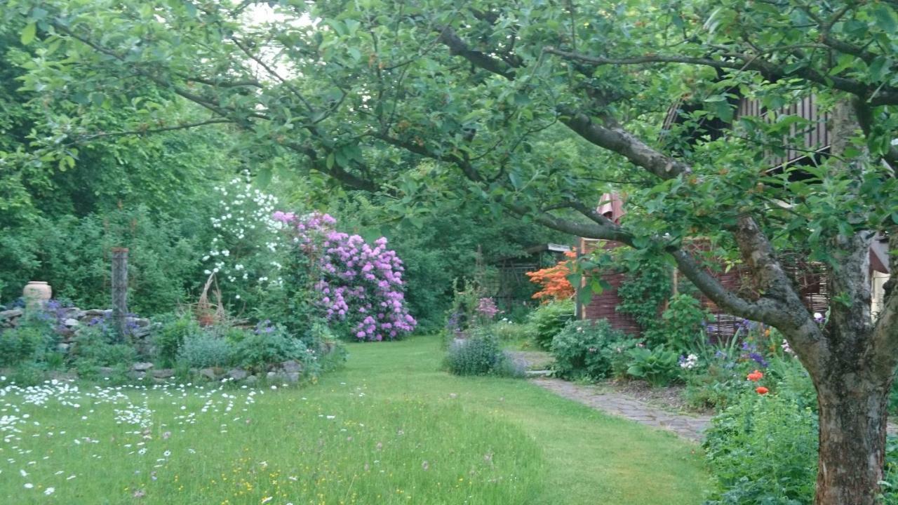 Landhaus Bernecker, Bay.W. Rinchnach Bagian luar foto