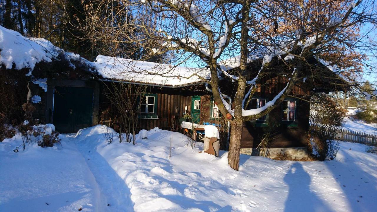 Landhaus Bernecker, Bay.W. Rinchnach Bagian luar foto